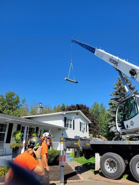 Arbor-Tech Tree Service Inc
