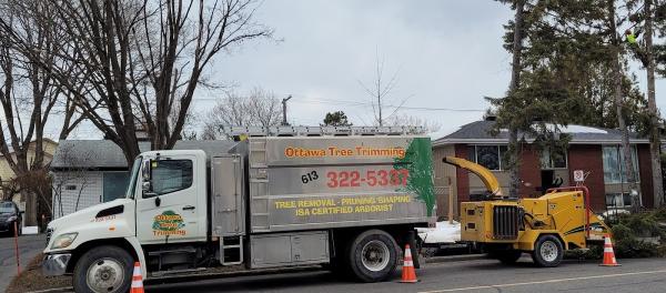 Ottawa Tree Trimming