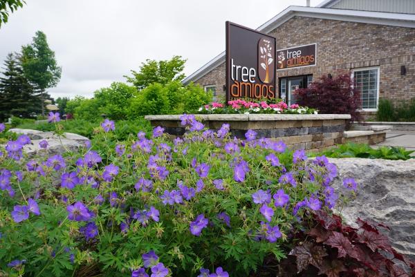 Tree Amigos Landscaping Inc.