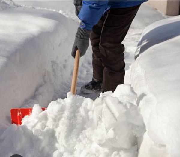 Fresh Cut Lawn Maintenance & Snow Clearing