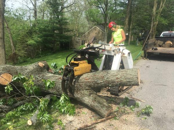 His & Hers Tree Service