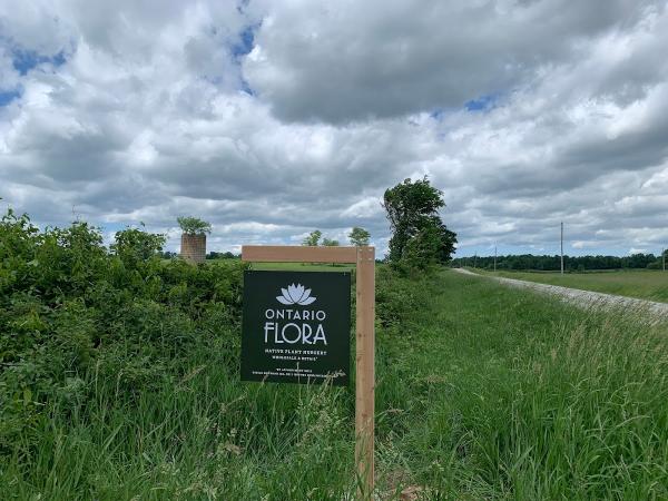 Ontario Flora – Native Plant Nursery