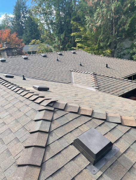 Storm Pro Roofing