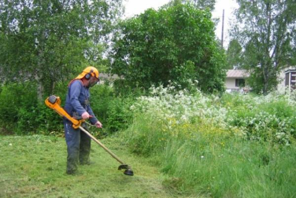 Good Lookin' Lawn Care & Landscaping