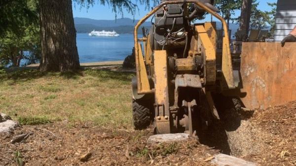 Signature Stump Grinding LTD