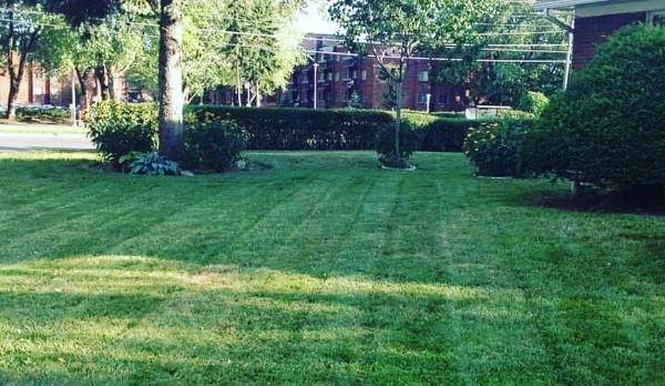 Bytown Landscaping & Construction