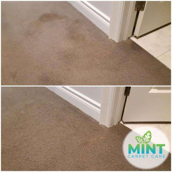 Mint Carpet Care