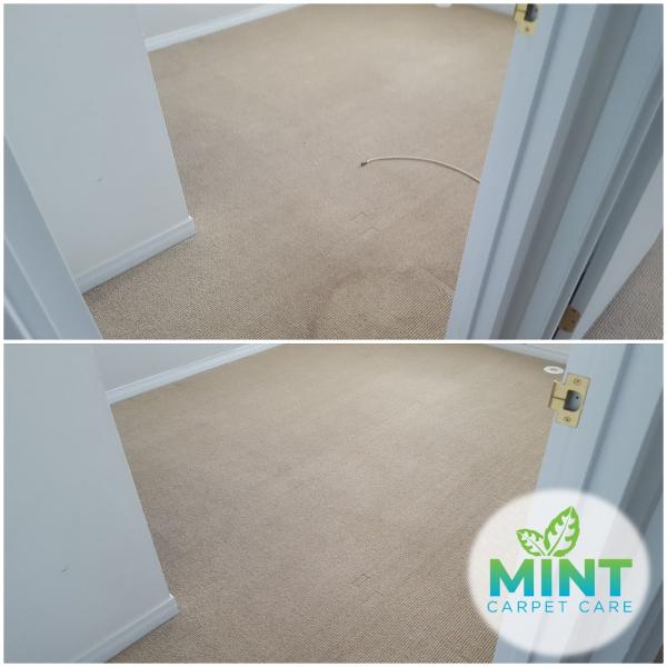 Mint Carpet Care