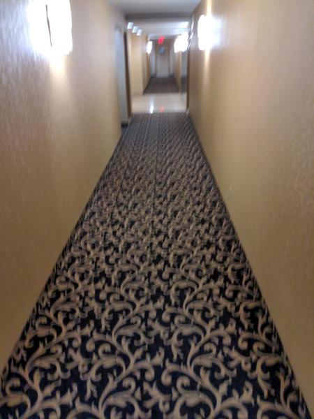 Edgehill Carpet Cleaning