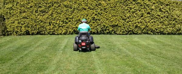 Towner's Lawn Service