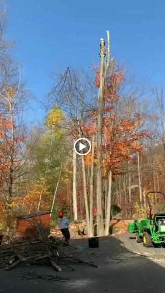 Le Coureur Des Cimes