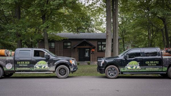 Fertilisation S.D et Fils