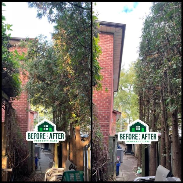 Before and After Property Care