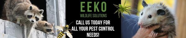 Eeko Wildlife Solutions