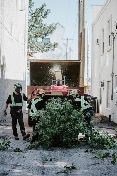 Bee EZ Tree Service