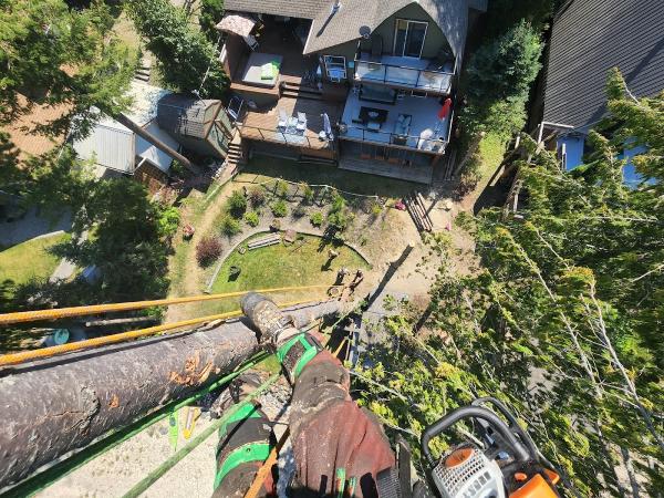 Radical Tree Service