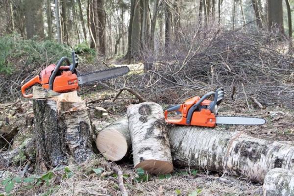 Caledon Tree Service