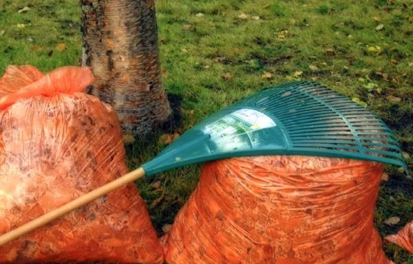Fall Cleanup Service Nanaimo