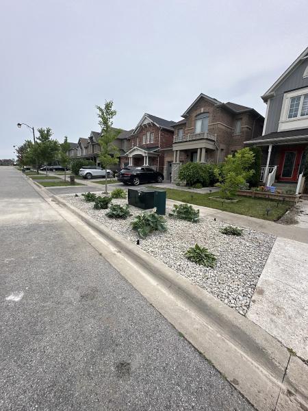 Beedone Landscaping