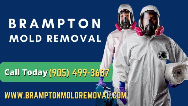 Brampton Mold Removal