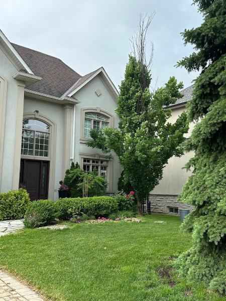 Addison Tree Care
