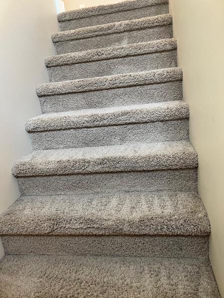 Calgary Carpet Cleaners