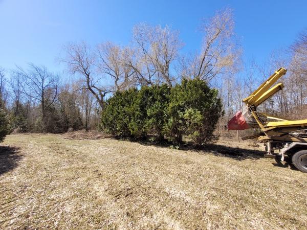 Eagle Ridge Tree Movers