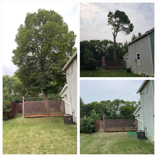 G Peters Tree Service