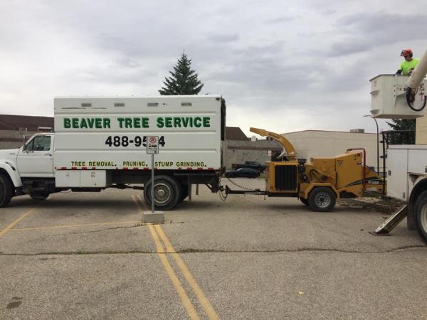 Beaver Tree Service