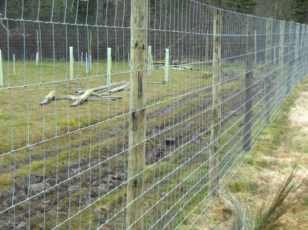 Good Neighbours Fencing