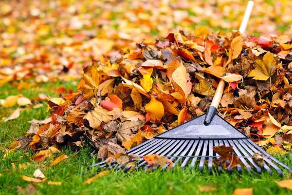 Morra Landscaping
