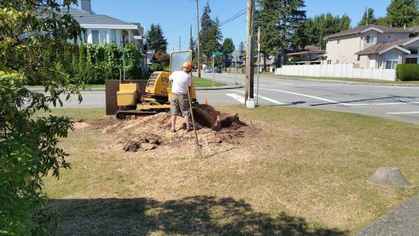 Dynamic Tree Services