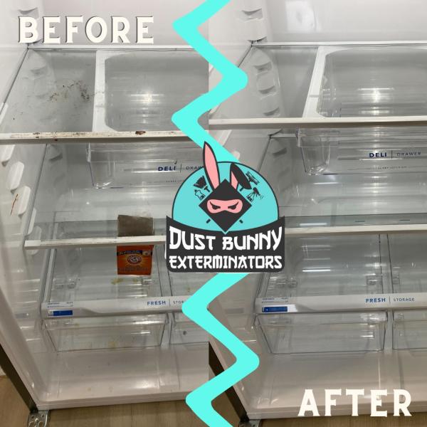 Dust Bunny Exterminators