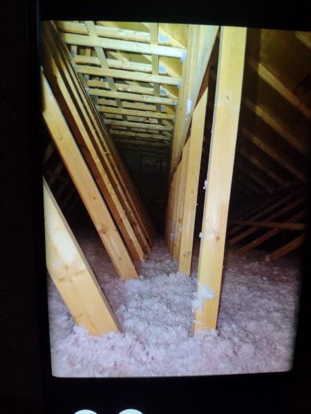 Free Attic