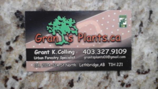 Grant's Plants