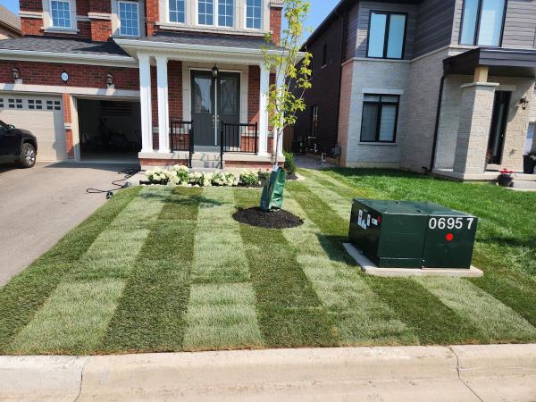 Lemus Landscaping Contractors Inc.