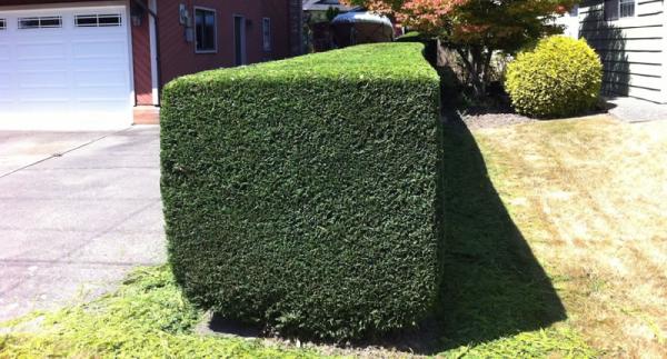 Aurelius Lawn Care Services