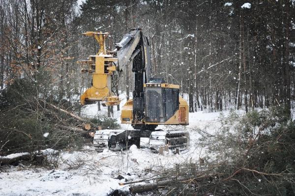 Beaver Brook Forestry & Contracting