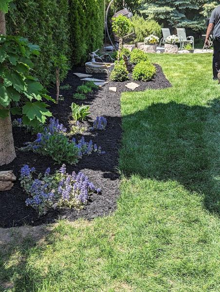 Bps-Blossom Property Services
