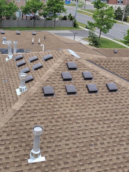 Green Roofing Solutions