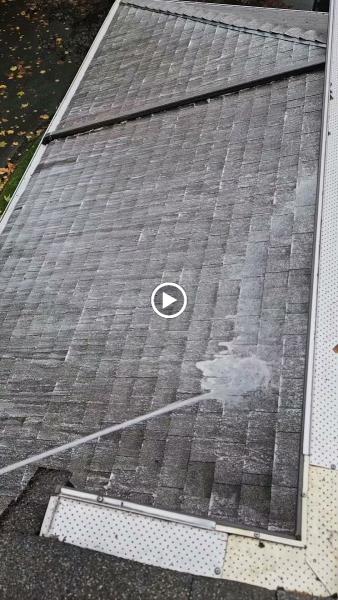 Lucid Pressure Washing