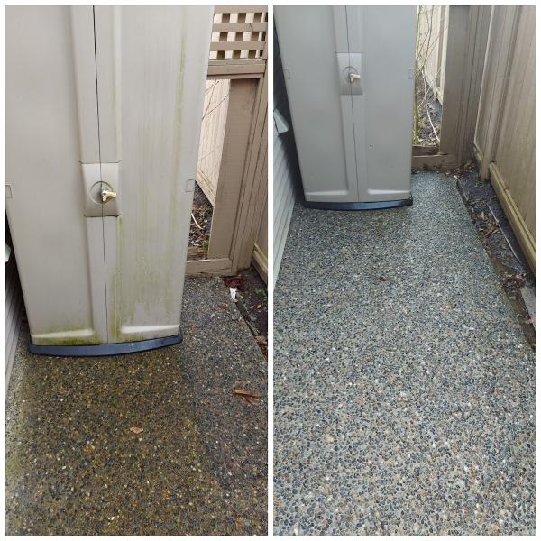 Lucid Pressure Washing