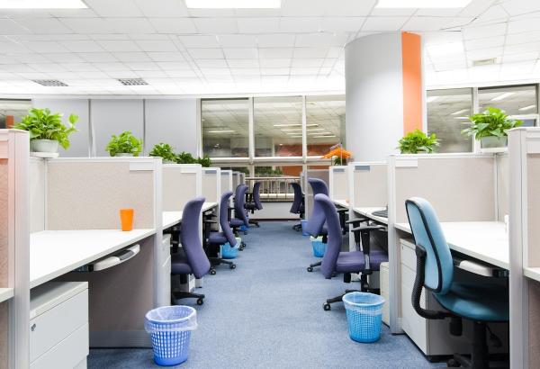 Maplegate Property Services Ltd.