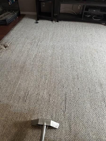 Nicki Melody Carpet Cleaning