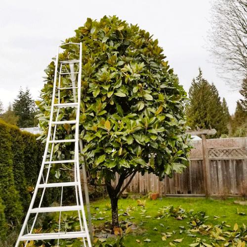 Bartek's Lawncare & Landscaping