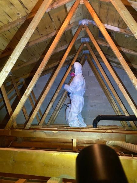 Novostar: Asbestos Mold Removal and Renovation