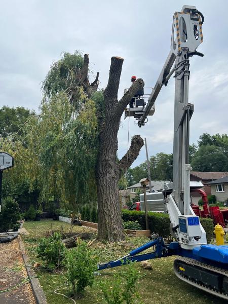 Anderstone Tree Service