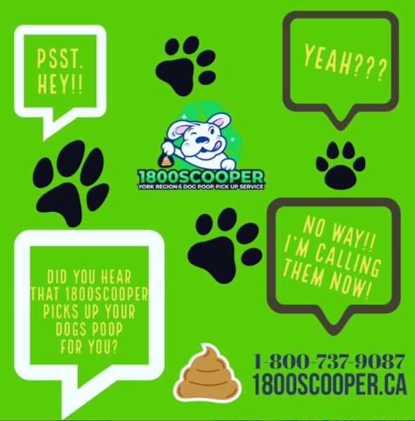 1800scooper: York Region DOG Poop Pick UP Services