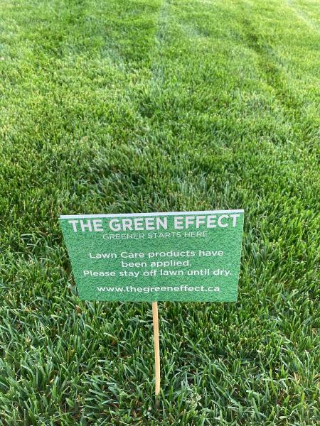 The Green Effect