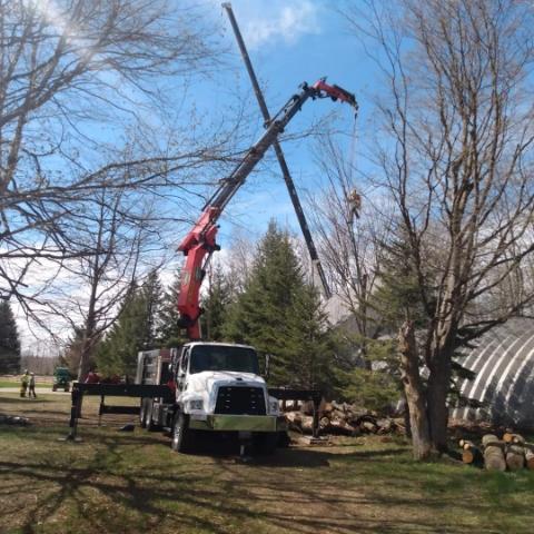 Davez Tree Service